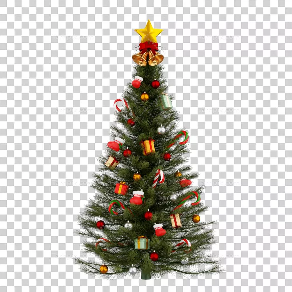 درخت کریسمس سه‌بعدی تجسم شده در یک پس‌زمینه ایزوله