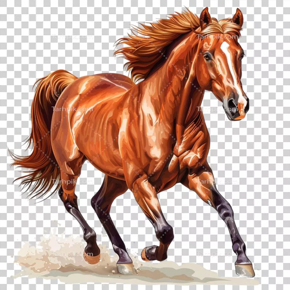 بررسی زیبایی و جذابیت اسب‌های قهوه‌ای: نمادهای elegance و قدرت