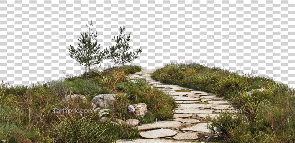 مسیر سنگی در میان باغی سرسبز و زیبا با طراحی خلاقانه