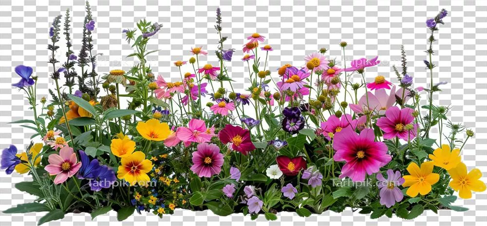 تخت گل بهاری رنگارنگ با لاله ها که جلوه ای زیبا دارد