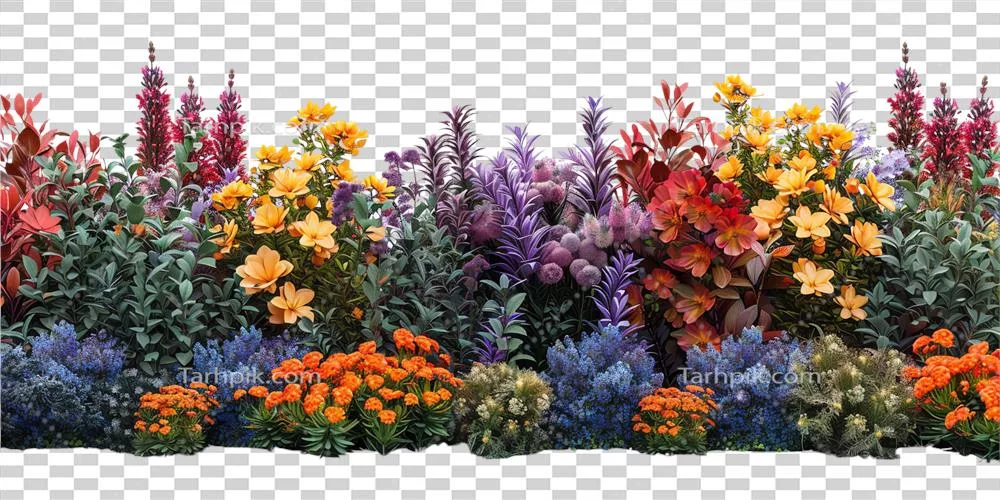 نمایشگاه رنگارنگ باغ گل با مجموعهای از گلهای زیبا شامل گلهای رز و اسطوخودوس
