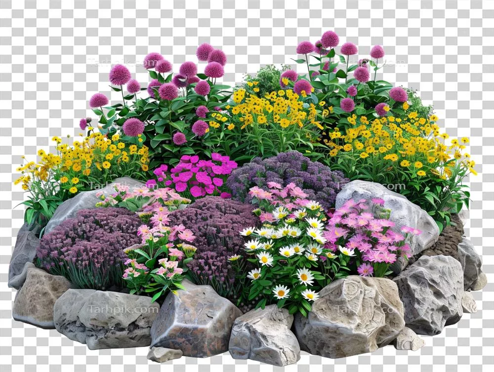 باغی رنگارنگ از گل‌ها با حاشیه‌ای سنگی و زیبایی طبیعی