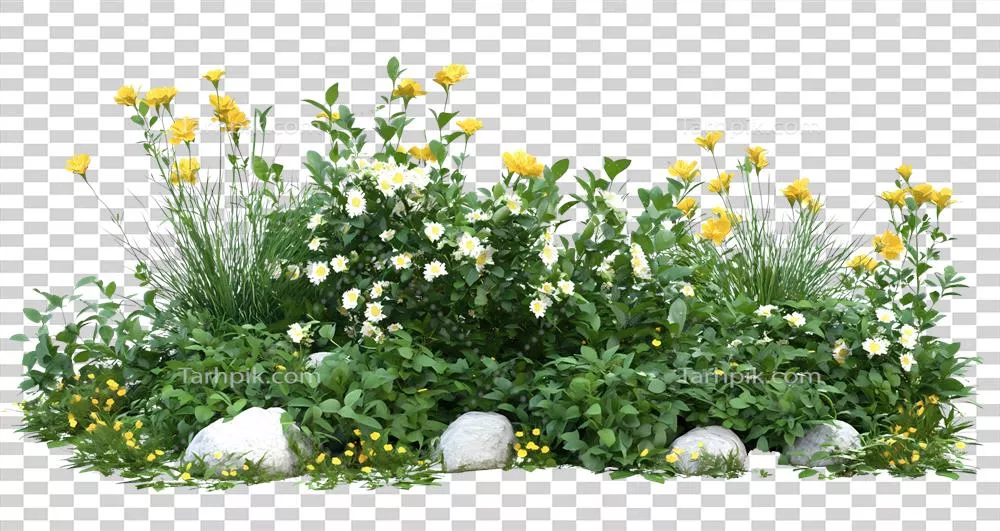تخت گل با گلهای زرد و سنگهای تزئینی در فضای باز