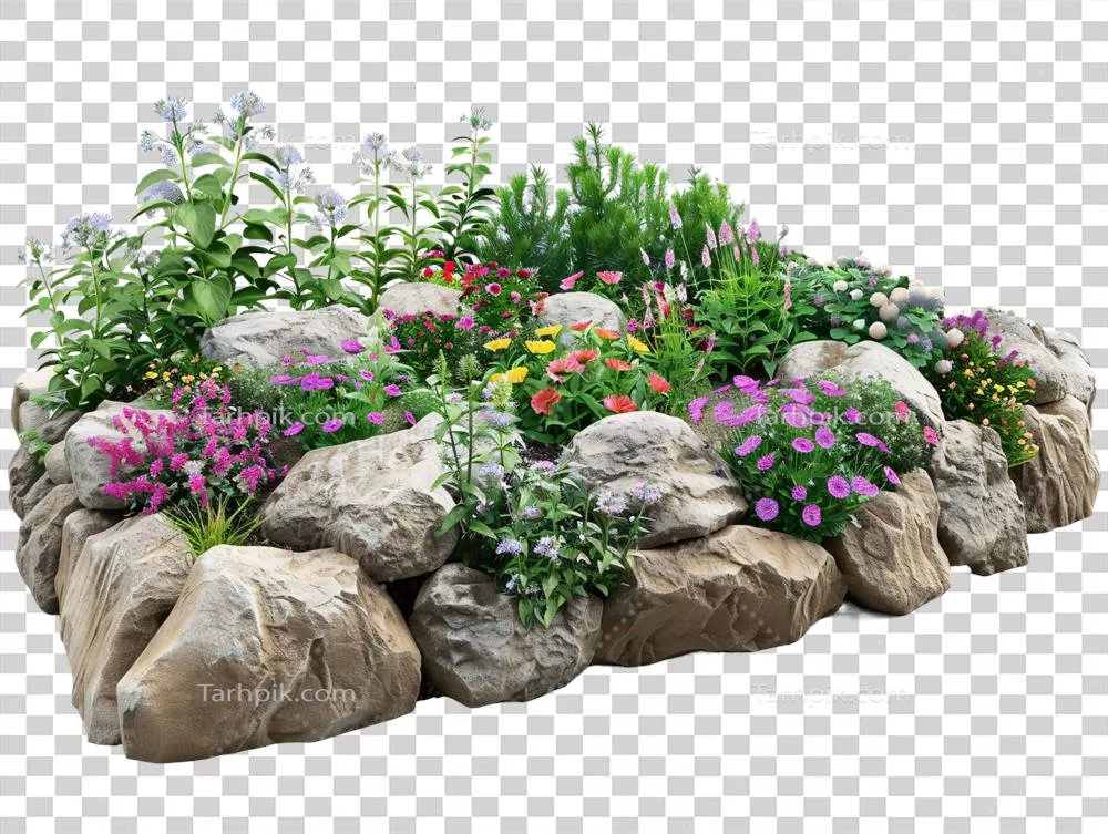 باغ گل های رنگارنگ با حصار سنگی زیبا و دلنشین