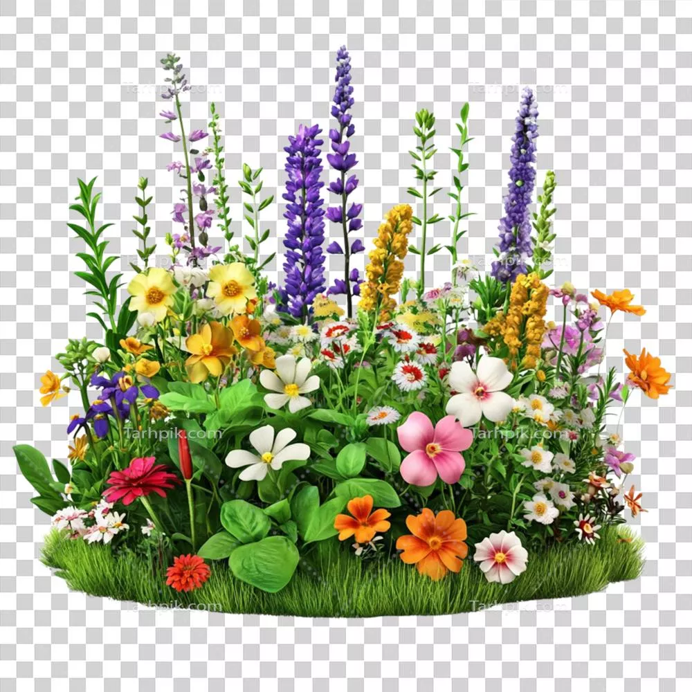 باغ گل های طبیعی: زیبایی و طراوت طبیعت در دل خانه