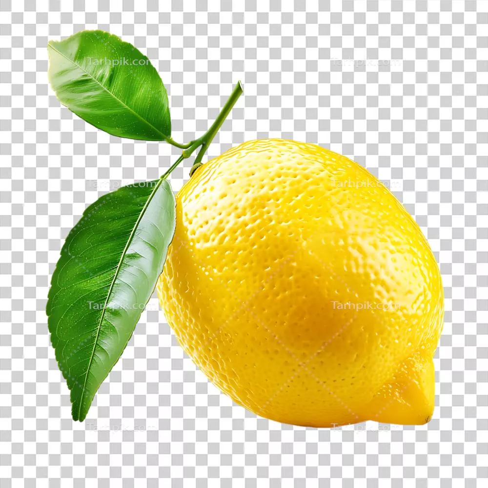 میوه لیمو طبیعی با برگ سبز در حالتی ایزوله و جذاب