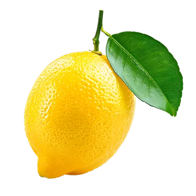 لیمو طبیعی با برگ سبز - میوه ای تازه و خوشمزه