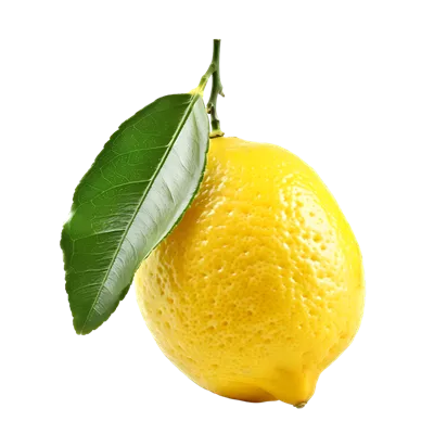 لیمو طبیعی با برگ سبز، عکس تهیه شده در فضای ایزوله
