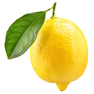 لیمو تازه با برگ سبز و درختی در طبیعت – میوهای خوشمزه و سالم