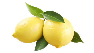 لیمو زرد با برگ در پس زمینه شفاف و تنها