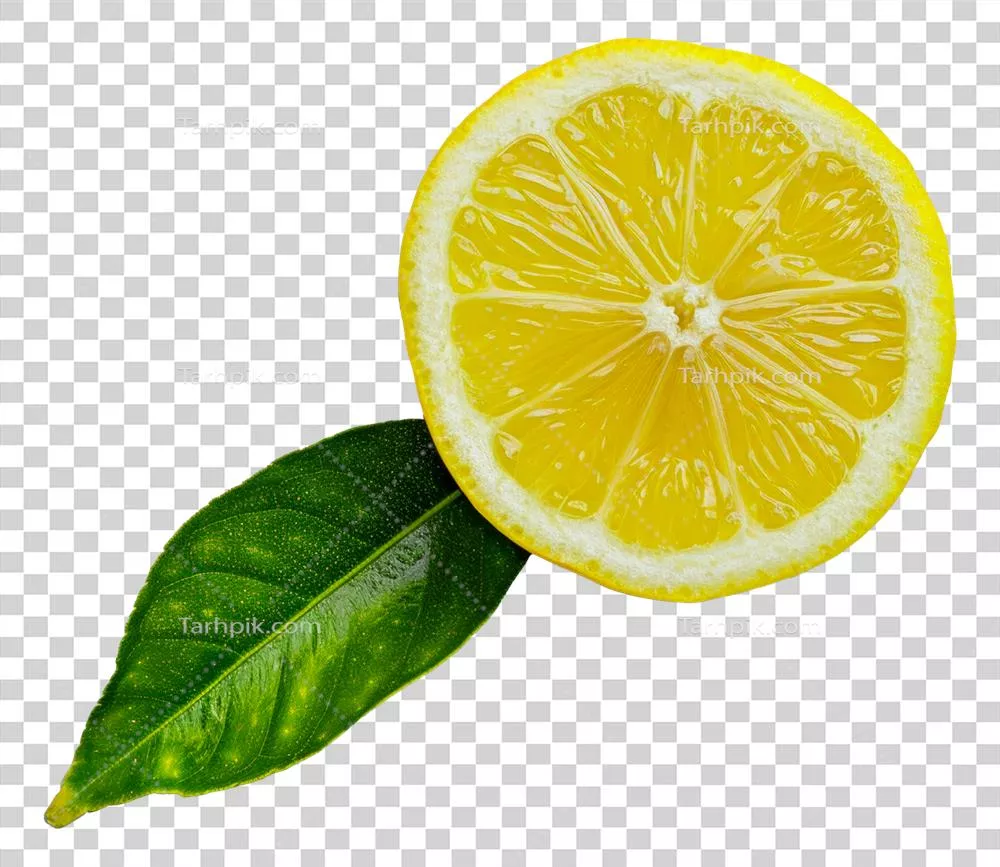 برش لیمو بر روی یک برگ تازه قرار گرفته است