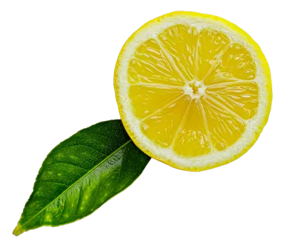 برش لیمو بر روی یک برگ تازه قرار گرفته است