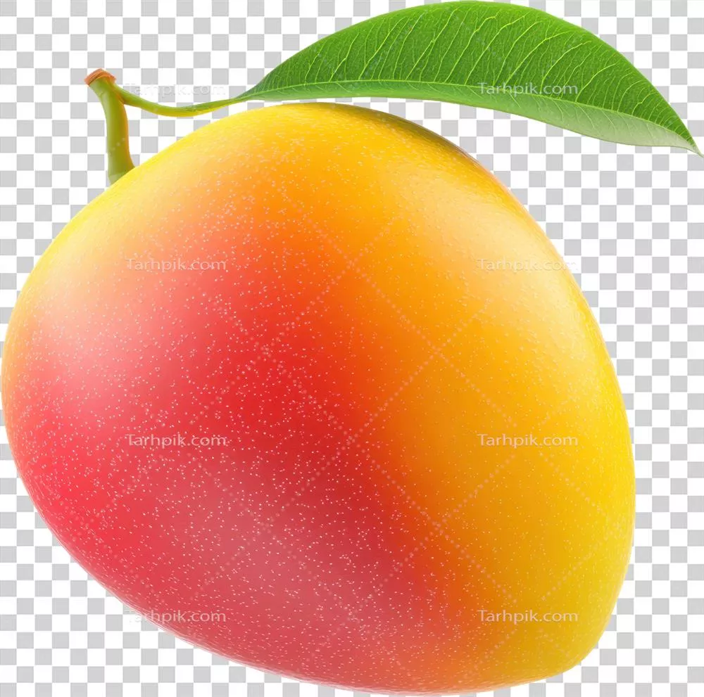 مانگوی زرد و قرمز زنده با برگ، نظر دلچسب تابستانی