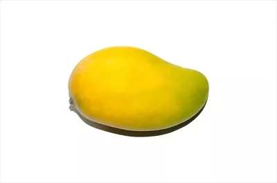 گروه میوه های تابستانی تایلندی با تمرکز بر روی انبه