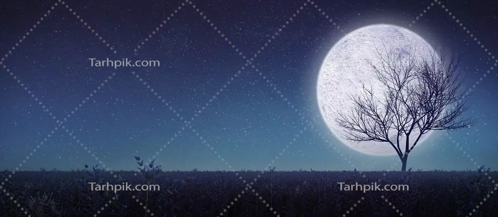 نمای پانورامایی از_FULL_Moon_با_Silhouette_درخت و مرتع در_یک_رندرینگ_سهبعدی