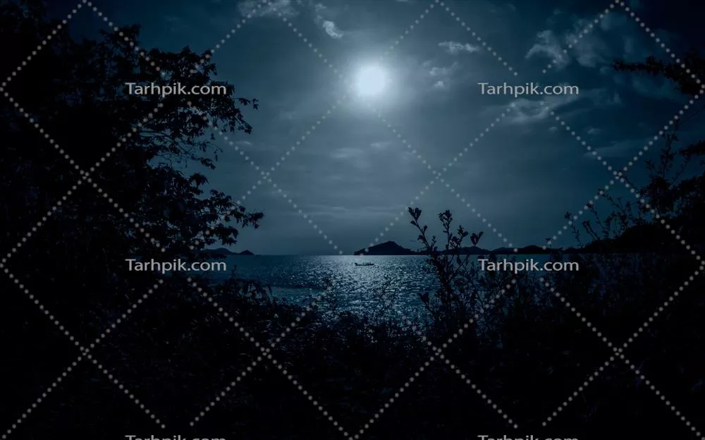آسمان پرستاره و ماه کامل بر روی سواحل زیبا در شب