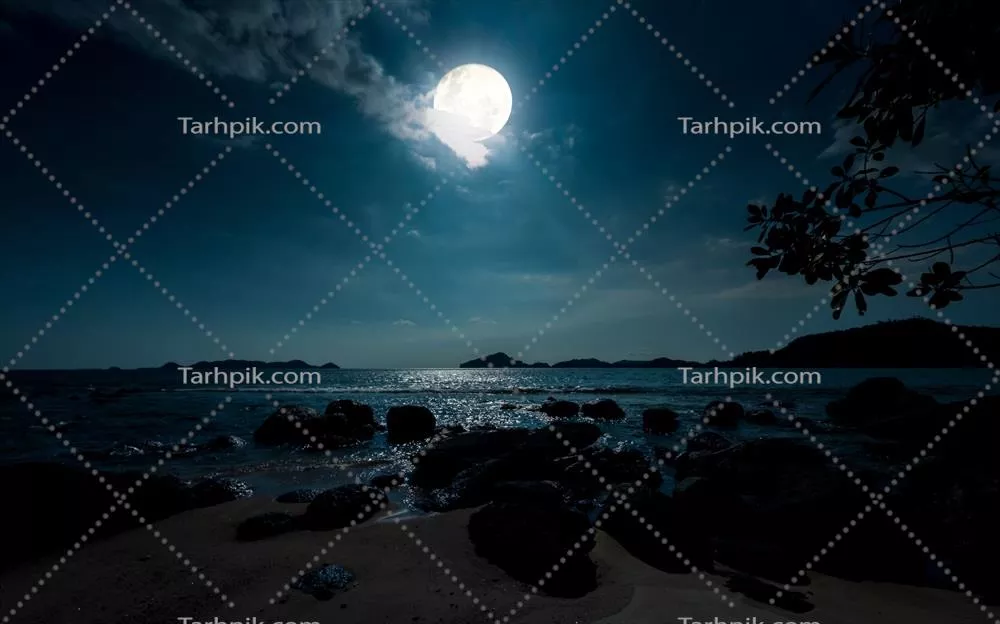 شبی آرام در ساحل زیبا با صخرهها و ماه کامل بر فراز اقیانوس