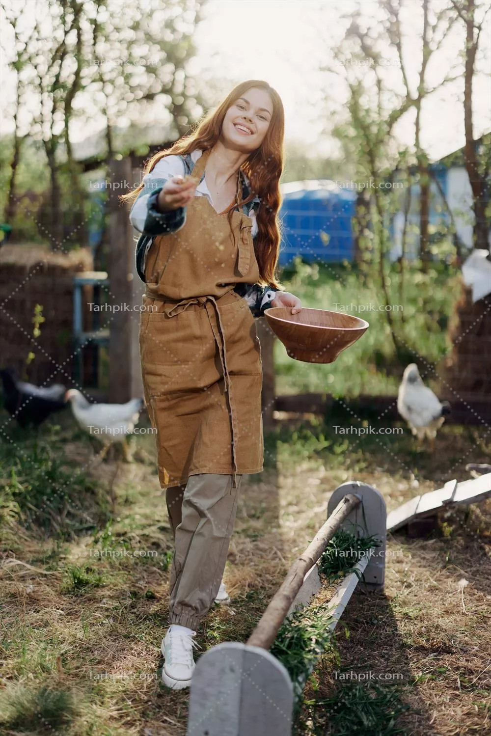 زنی با پیراهن کلوش و پیشبند، غذا ارگانیک را در خوراکخوری مرغها میریزد
