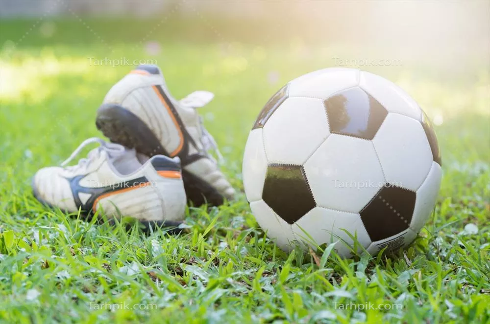 فوتبال بر روی چمن سبز با کفش های میخ دار در نور خورشید