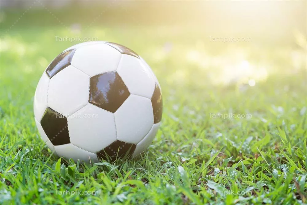 فوتبال بر روی چمن سبز تحت نور خورشید