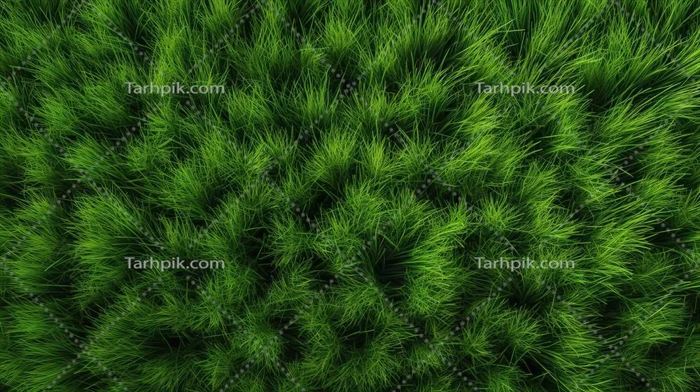 طرح زمینه الگو چمن سبز با قابلیت تولید هوش مصنوعی برای طراحی گرافیک
