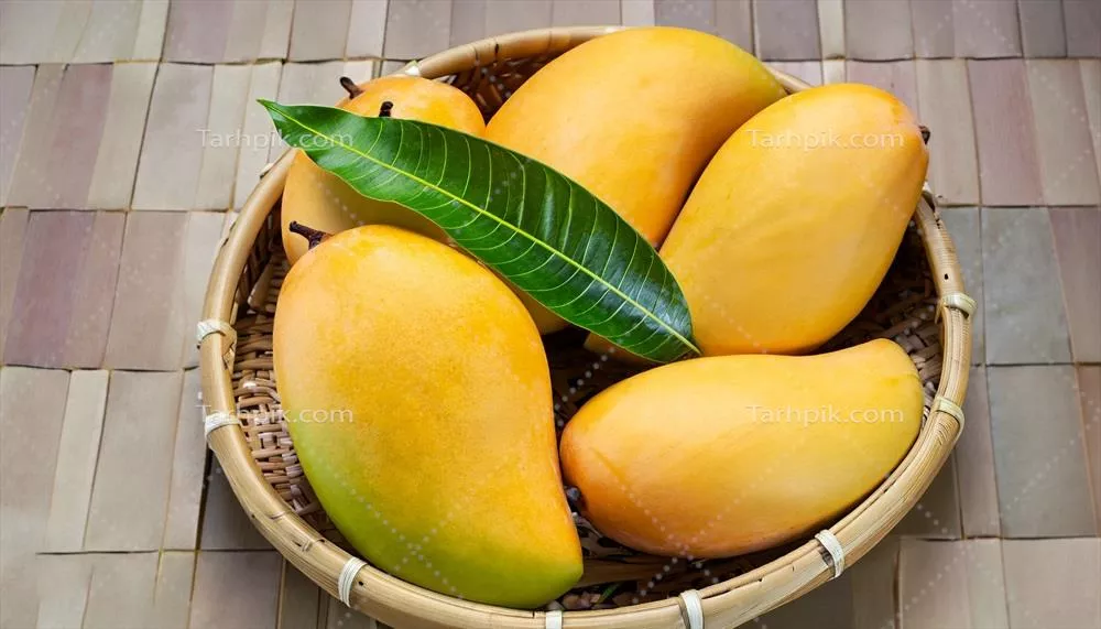 مغز و میوه انبه آویزان از درخت بر روی یک میز چوبی روستایی