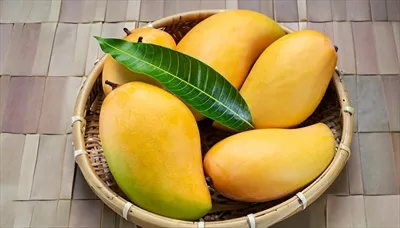 مغز و میوه انبه آویزان از درخت بر روی یک میز چوبی روستایی