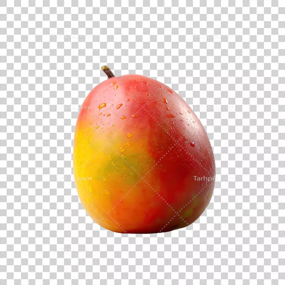 تصویر دیجیتال انبه الفونزو با قطرات آب بر روی پس زمینه شفاف