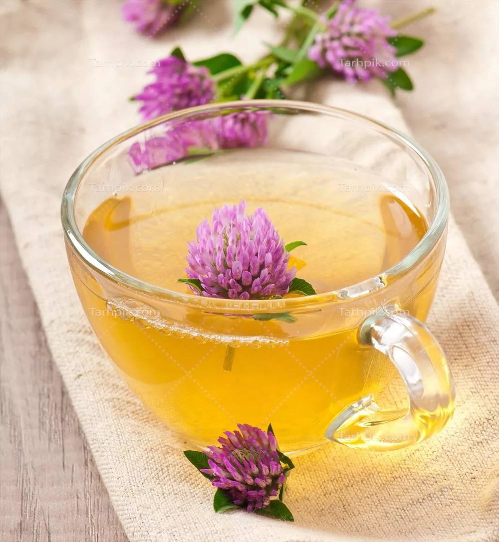 چای گیاهی با استفاده از برگ گل شبدر برای سلامتی و لذت