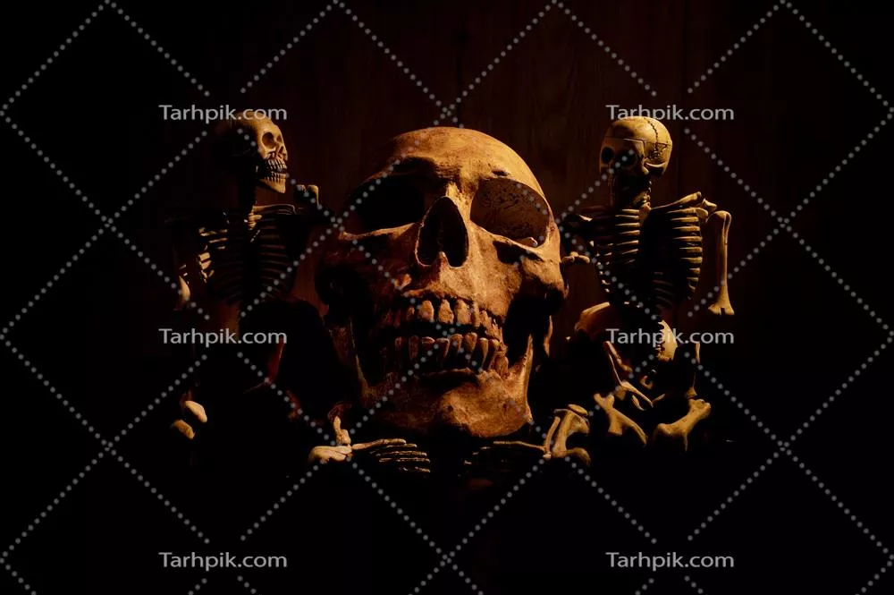هنر نقاشی طراحی اشیاء بیجان با تصویر جمجمه انسانی بر روی پسزمینه سیاه