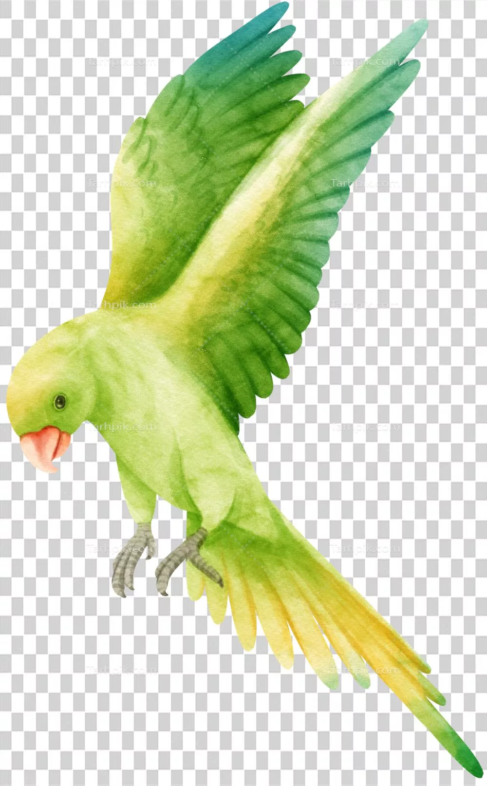 تصویر آبرنگ از طوطی و پس زمینه زیبا در میان پرندگان زینتی