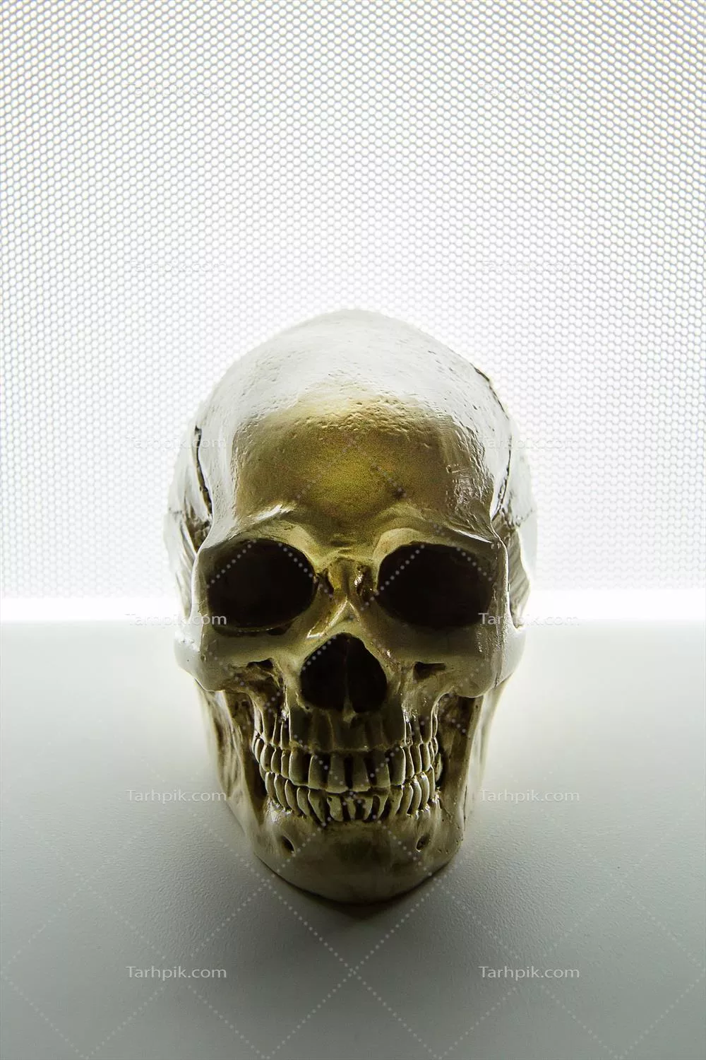 تصویر نزدیک از جمجمه با نور درخشان و پس‌زمینه انتزاعی