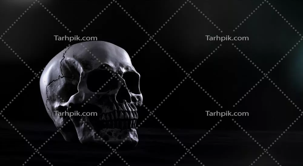 جماعت وحشت: جمجمه انسانی روی میز چوبی قدیمی برای جشن هالووین