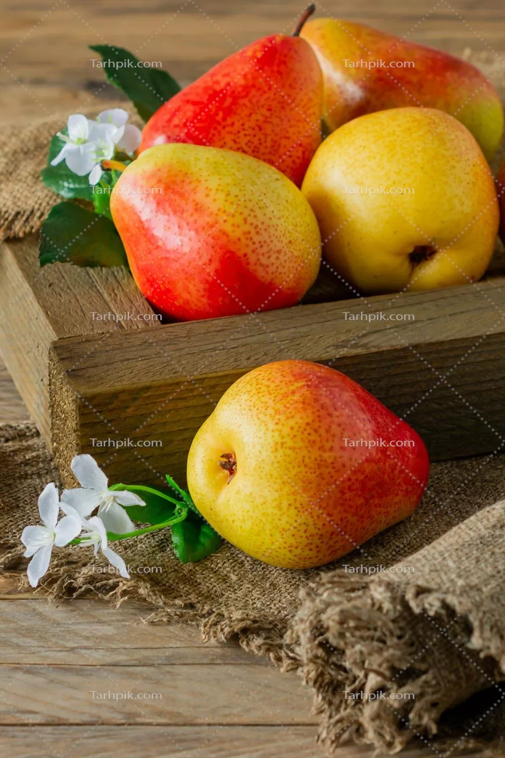 محصولات گلابی ارگانیک چیده شده در جعبه چوبی در فصل پاییز