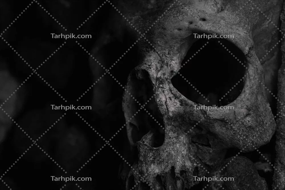 اسکلت ترسناک: رازها و معماهای دلخراش آن