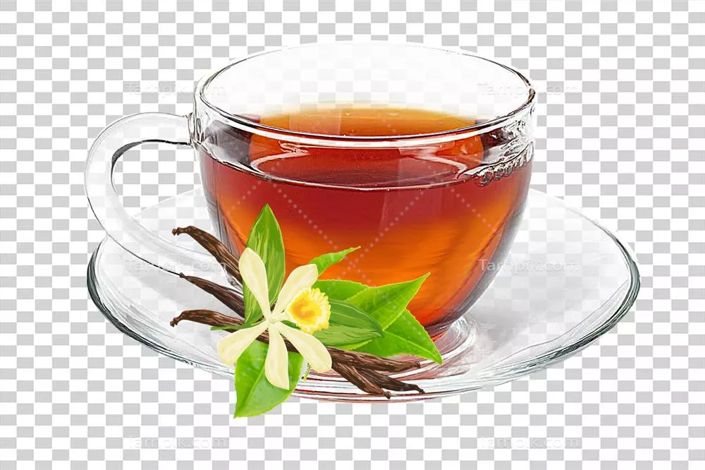 فنجان چای همراه با برگ های چای تازه بر روی نعلبکی در پس زمینه شفاف