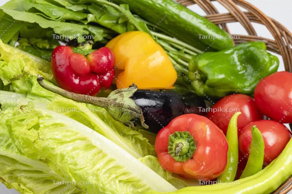سبد سبزیجات تازه برای زندگی سالم و رژیم کتو: گوجهفرنگی، خیار، فلفل سبز، بادنجان، کاهو و کاسنی
