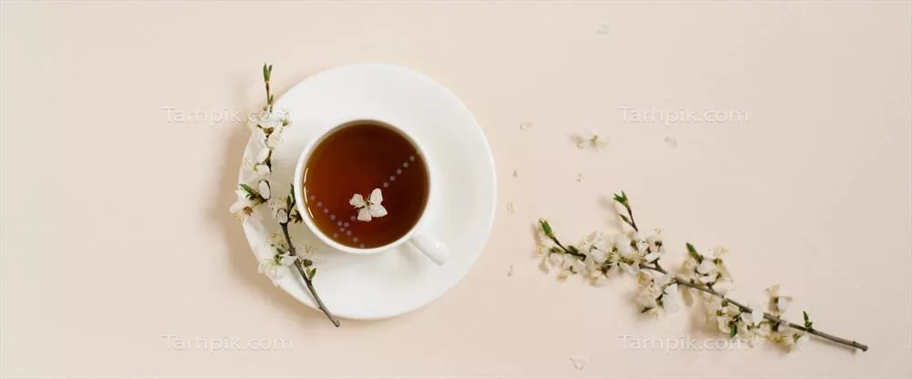 فنجان سفالی سفید با چای سیاه و مارشمالو در کنار گلهای درخت سیب بهاری