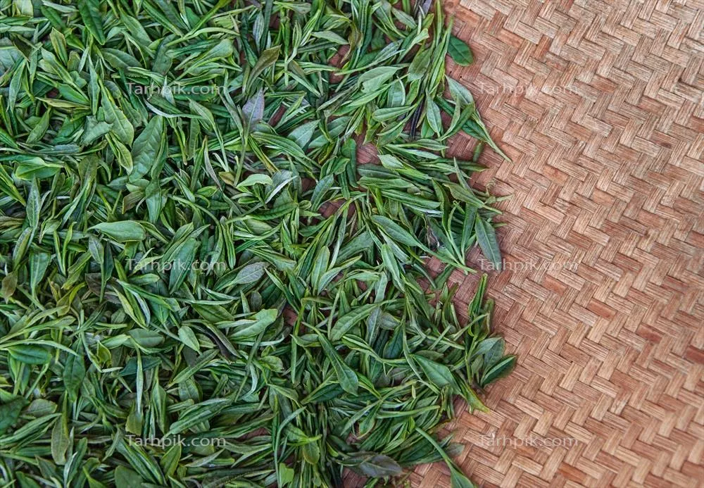 چای‌برگ‌ها در سبد بافنده: ترکیب هنر و طعم طبیعی
