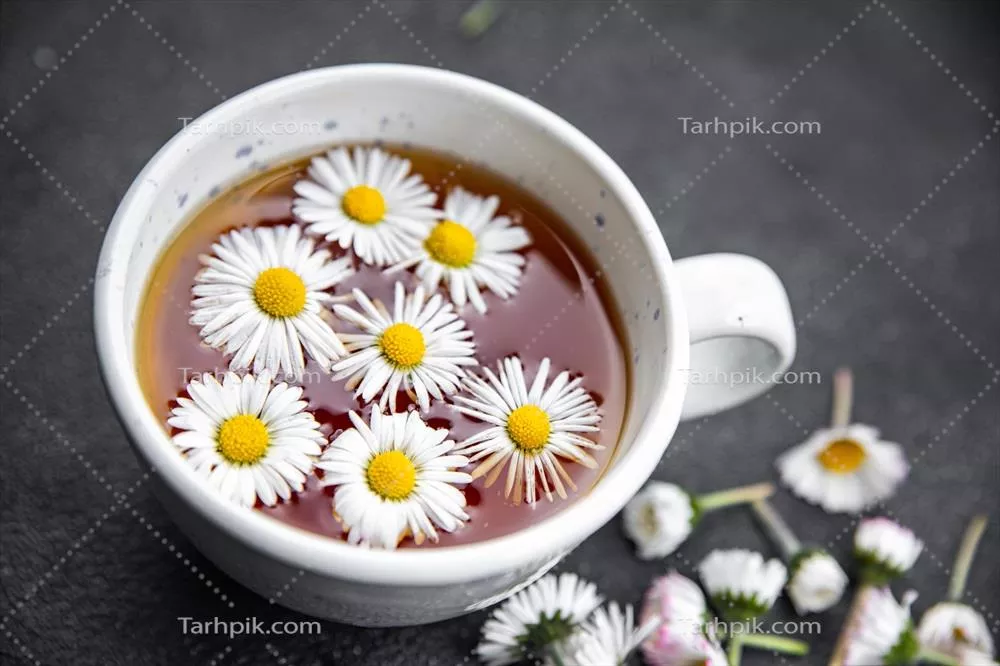 دمنوش گل بابونه: نوشیدنی گرم و سالم برای بهبود سلامتی و تغذیه