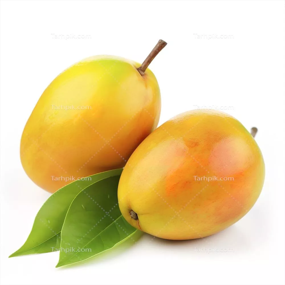 انزوا و کلیپپاسخ هندوانه بر روی زمینه سفید با عمق میدان کامل