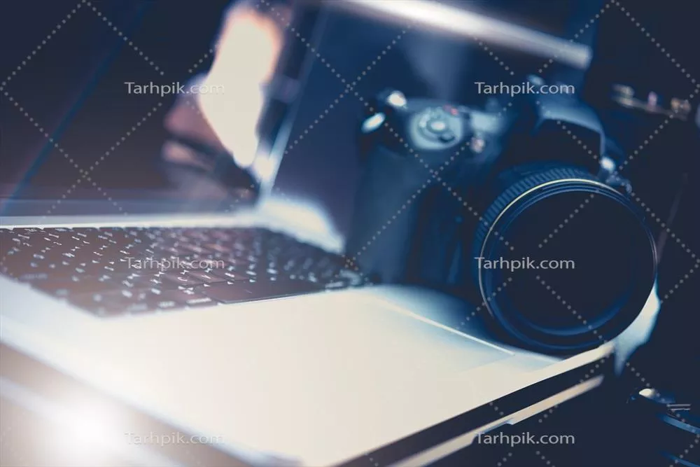 راهنمای جامع برای راهاندازی و موفقیت در کسبوکار میکرو استوک