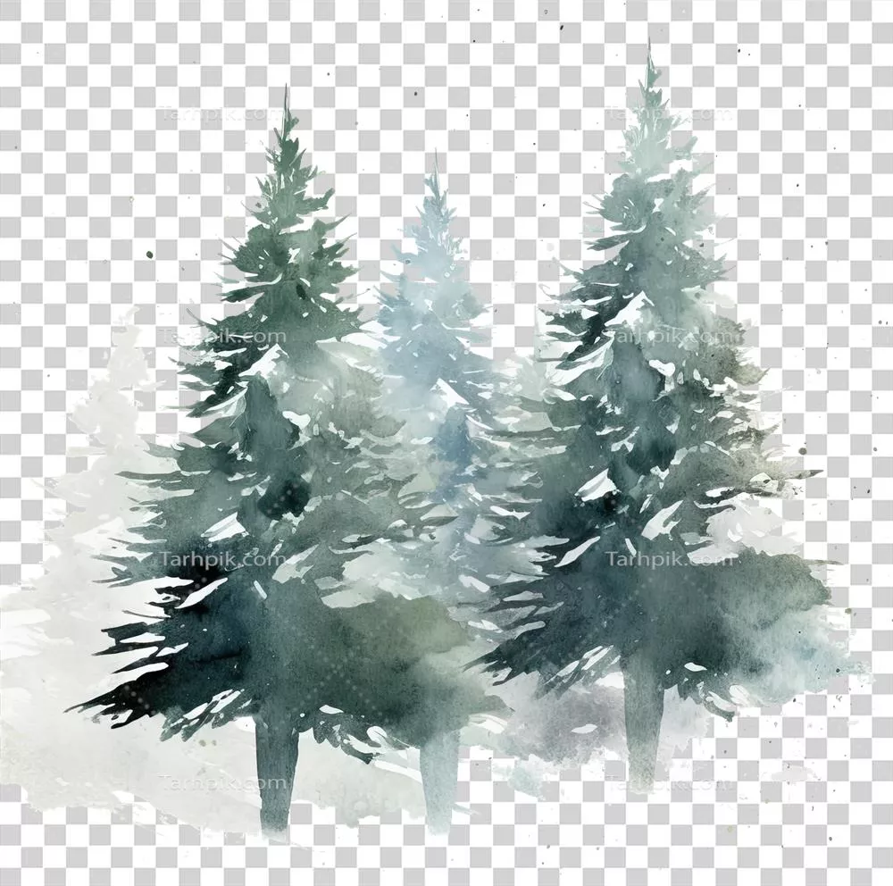 تصویرگری آکریلیک کریسمس با درختان کاج و شاخ و برگ به صورت رنگی