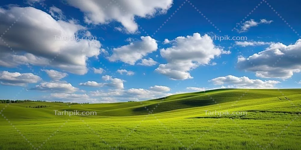 تصویرسازی واقع گرایانه از یک دشت سبز و تپههای چمنی با استفاده از هوش مصنوعی