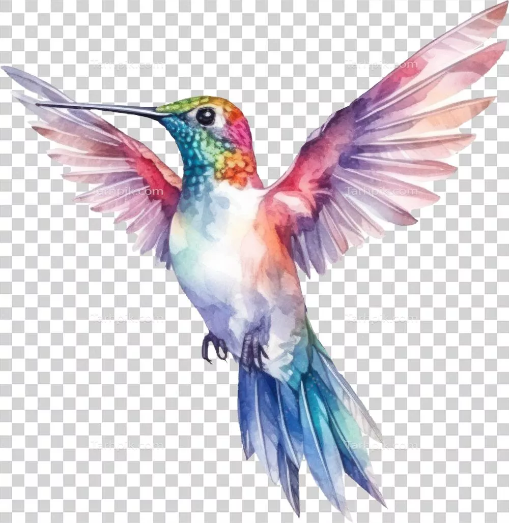 تصویرسازی آبرنگی از مرغ مگسخوار - هنر امروزی با هوش مصنوعی