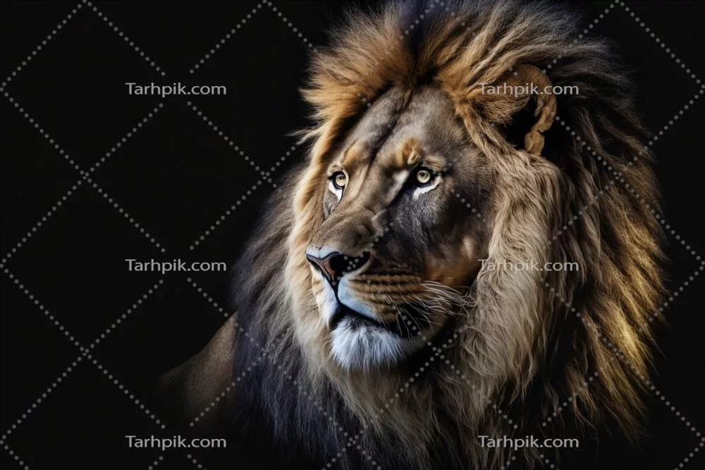 پرترهای از یک شیر زیبا با فضای خالی و طرحی تاریک به روش هوش مصنوعی