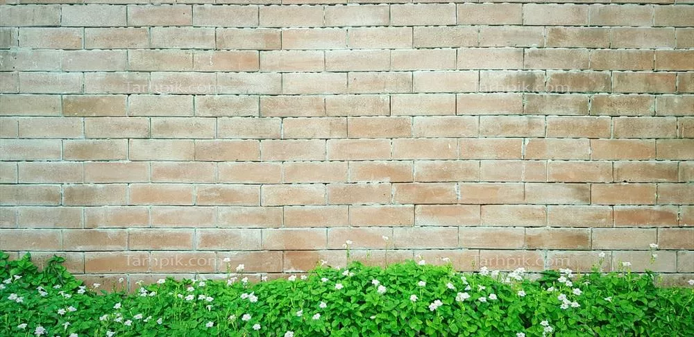پسزمینهای از گیاه درخت سبز با گلهای سفید بر روی دیوار آجری زبر و فضای خالی در بالا برای کاغذ دیواری