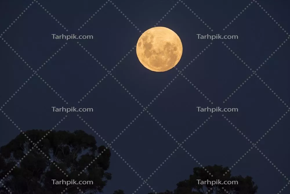 خسوف ماه خونین در لا پامپا، آرژانتین – 21 ژانویه 2019