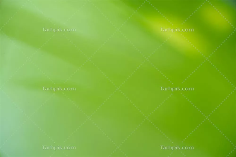 منظر طبیعی برگ سبز بر روی پسزمینه سبز محو در باغ با فضای خالی برای کپی
