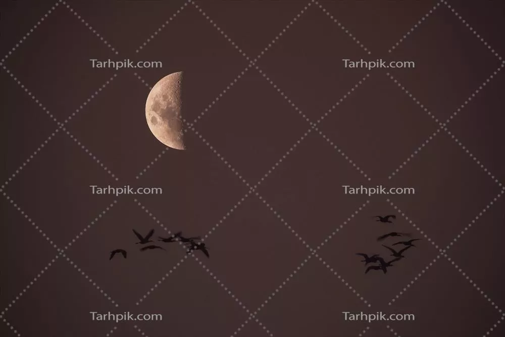 ماه در آسمان صاف قبل از تاریکی شب